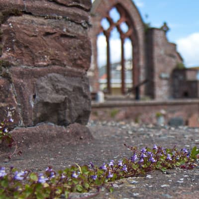 Isle of Man 2015 – Bild 273
