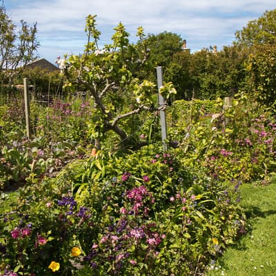 Isle of Man 2015 – Bild 284