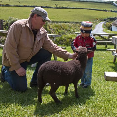 Isle of Man 2015 – Bild 288