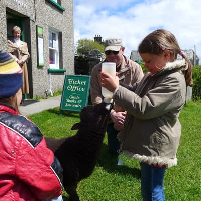 Isle of Man 2015 – Bild 289
