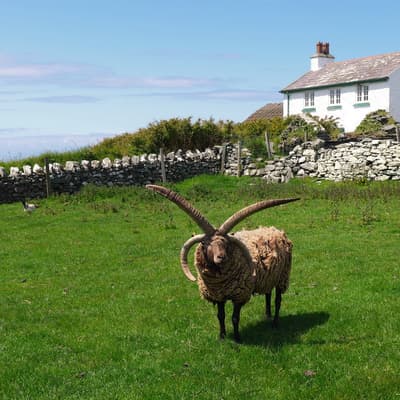 Isle of Man 2015 – Bild 293