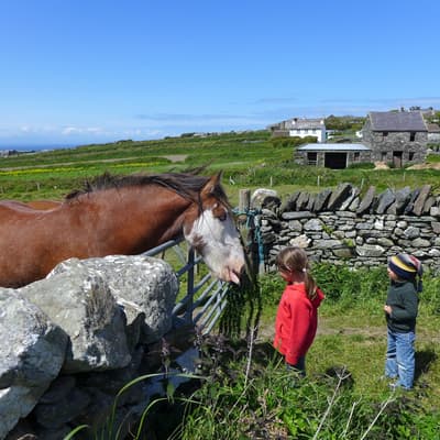 Isle of Man 2015 – Bild 295