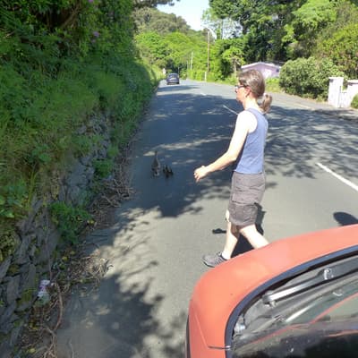 Isle of Man 2015 – Bild 375