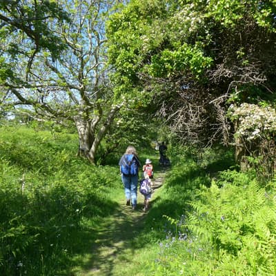 Isle of Man 2015 – Bild 400