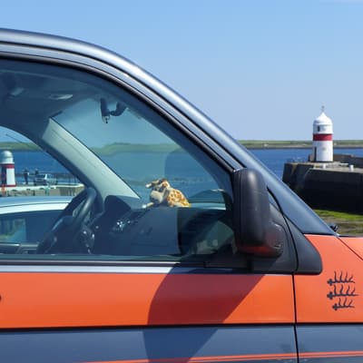 Isle of Man 2015 – Bild 424