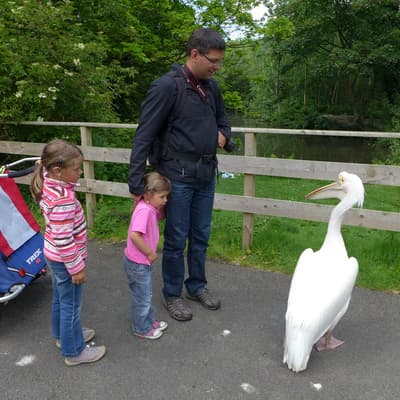Isle of Man 2015 – Bild 527