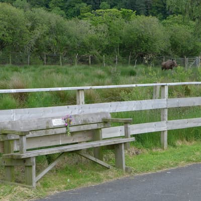 Isle of Man 2015 – Bild 530