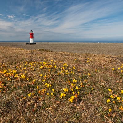 Isle of Man 2015 – Bild 565