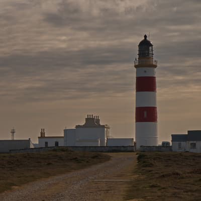 Isle of Man 2015 – Bild 566