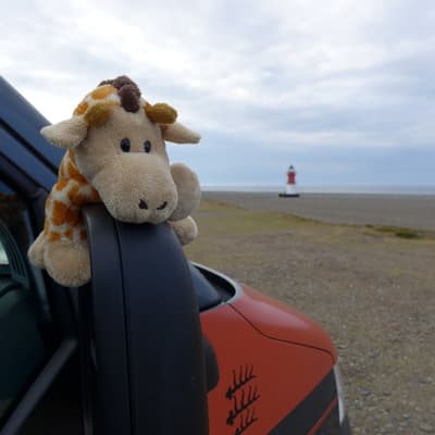 Isle of Man 2015 – Bild 570