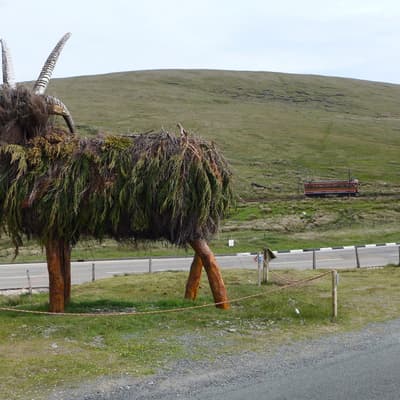 Isle of Man 2015 – Bild 590