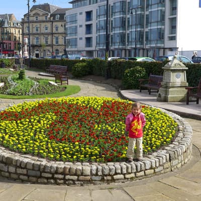 Isle of Man 2015 – Bild 610