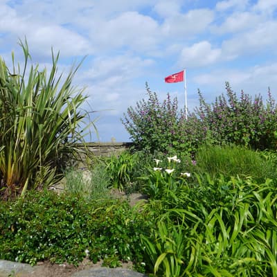Isle of Man 2015 – Bild 611