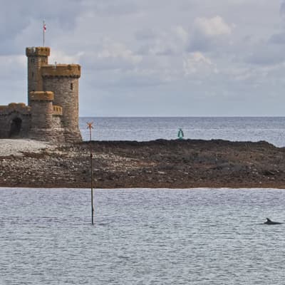 Isle of Man 2023 – Bild 131
