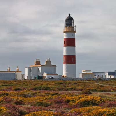 Isle of Man 2023 – Bild 221