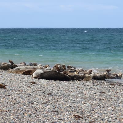 Isle of Man 2023 – Bild 225