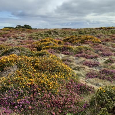 Isle of Man 2023 – Bild 228