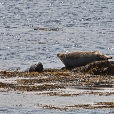 Isle of Man 2023 – Bild 236