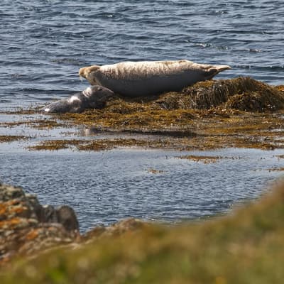 Isle of Man 2023 – Bild 238