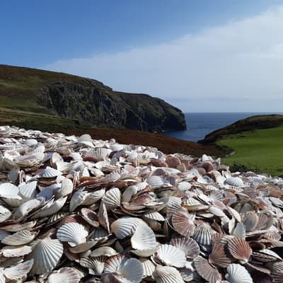 Isle of Man 2023 – Bild 252