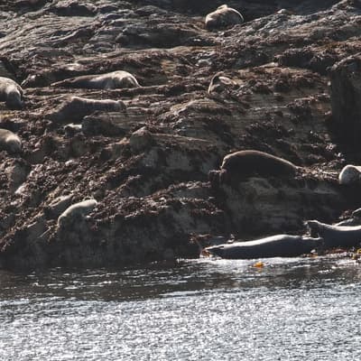 Isle of Man 2023 – Bild 254