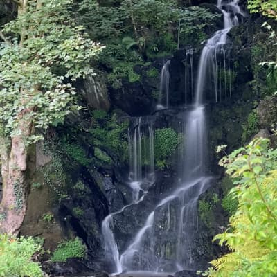 Isle of Man 2023 – Bild 271