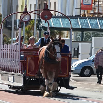 Isle of Man 2023 – Bild 332