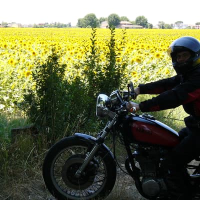 Italien 2006 – Bild 16