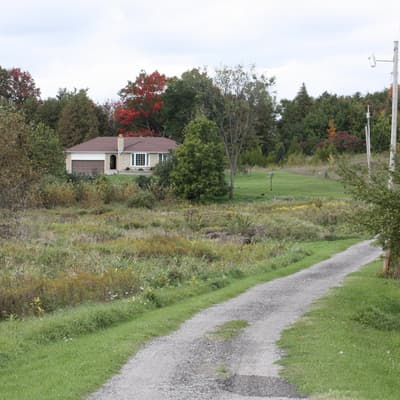 Kanada 2008 – Bild 9