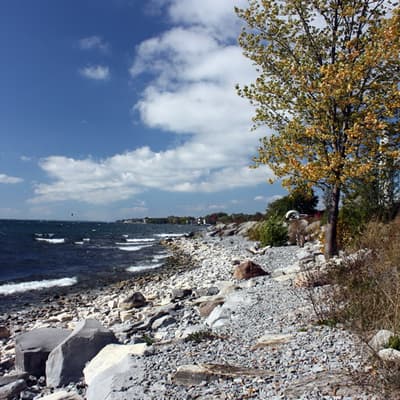 Kanada 2008 – Bild 80