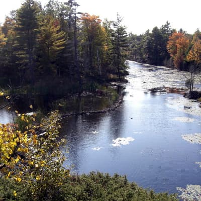 Kanada 2008 – Bild 87