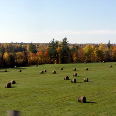 Kanada 2008 – Bild 124