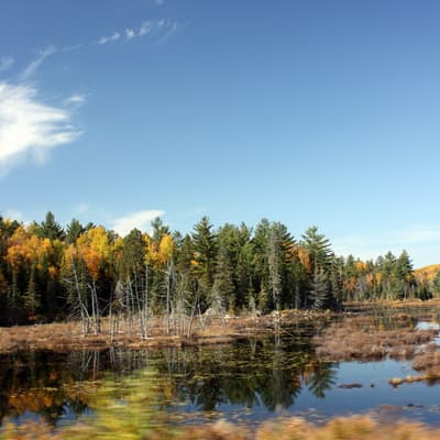 Kanada 2008 – Bild 129