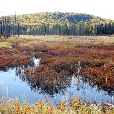 Kanada 2008 – Bild 130
