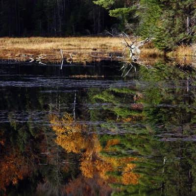 Kanada 2008 – Bild 133