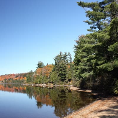 Kanada 2008 – Bild 139