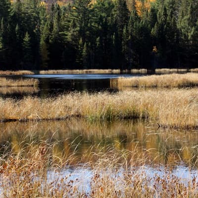Kanada 2008 – Bild 141