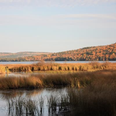 Kanada 2008 – Bild 143