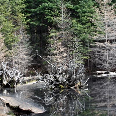 Kanada 2008 – Bild 148
