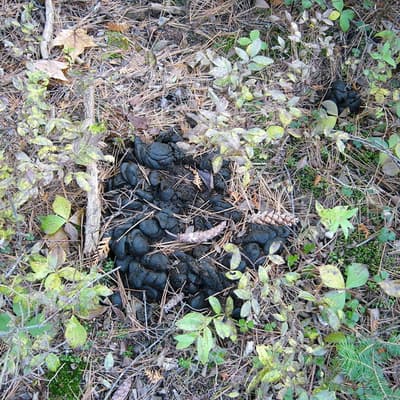 Kanada 2008 – Bild 150