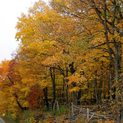 Kanada 2008 – Bild 158