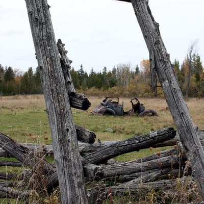Kanada 2008 – Bild 159