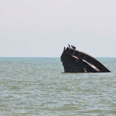 Kanada 2014 – Bild 33