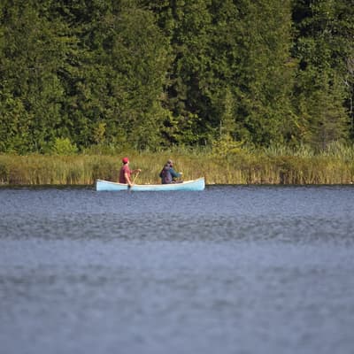 Kanada 2025 – Bild 144