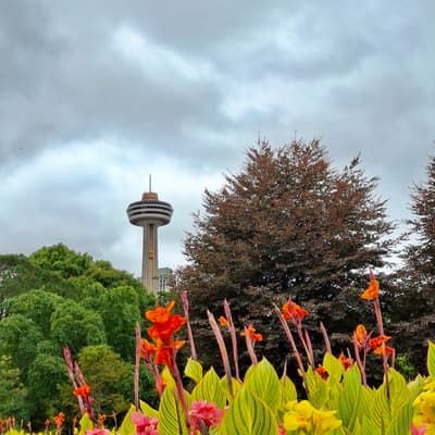Kanada 2025 – Bild 266