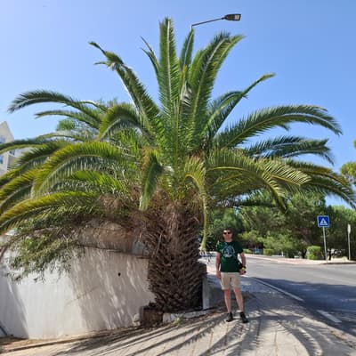 Portugal 2026 – Bild 19