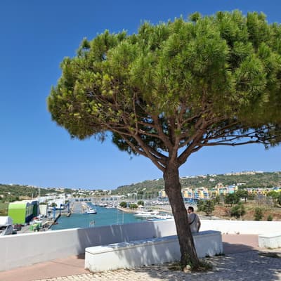 Portugal 2026 – Bild 22
