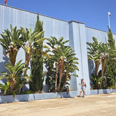 Portugal 2026 – Bild 25