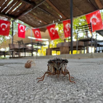 Türkei 2026 – Bild 25