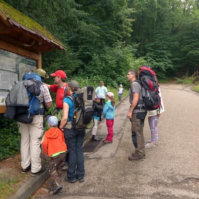 Westweg 2019 – Bild 4